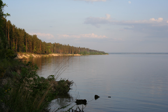 Берег Сурского водохранилища