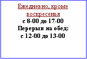 : ,   8-00  17-00  :  12-00  13-00